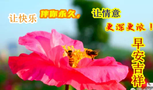 唯美心灵鸡汤句子_唯美心灵鸡汤经典语录_心灵鸡汤语录唯美
