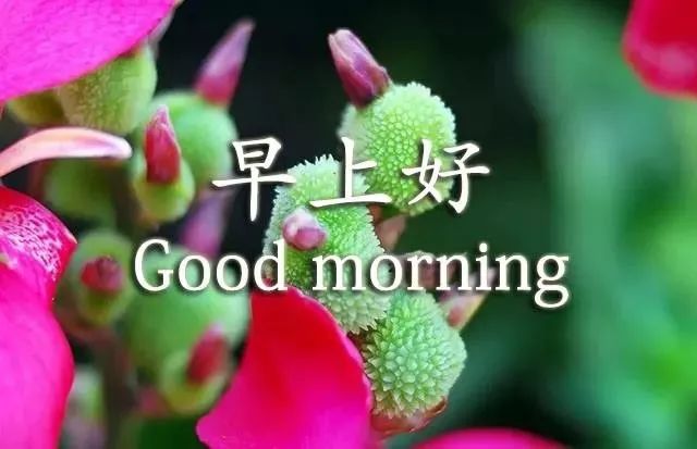 唯美心灵鸡汤经典语录_心灵鸡汤语录唯美_唯美心灵鸡汤句子