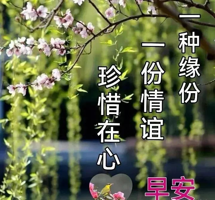 唯美心灵鸡汤句子_唯美心灵鸡汤经典语录_心灵鸡汤语录唯美