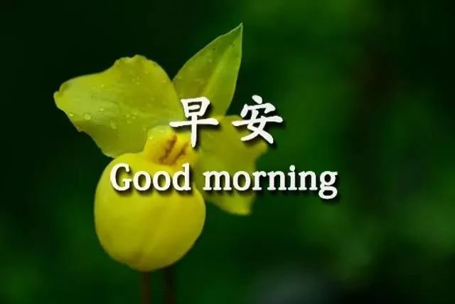 心灵鸡汤语录唯美_唯美心灵鸡汤句子_唯美心灵鸡汤经典语录