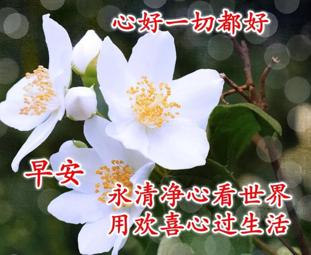 唯美心灵鸡汤句子_心灵鸡汤语录唯美_唯美心灵鸡汤经典语录