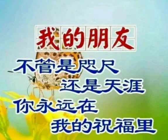 唯美心灵鸡汤经典语录_心灵鸡汤语录唯美_唯美心灵鸡汤句子