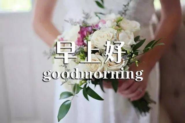心灵鸡汤语录唯美_唯美心灵鸡汤句子_唯美心灵鸡汤经典语录