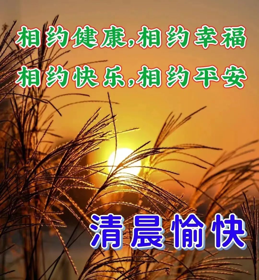 中考励志的心灵鸡汤_中考心灵鸡汤经典语录_关于中考的励志句子的心灵鸡汤