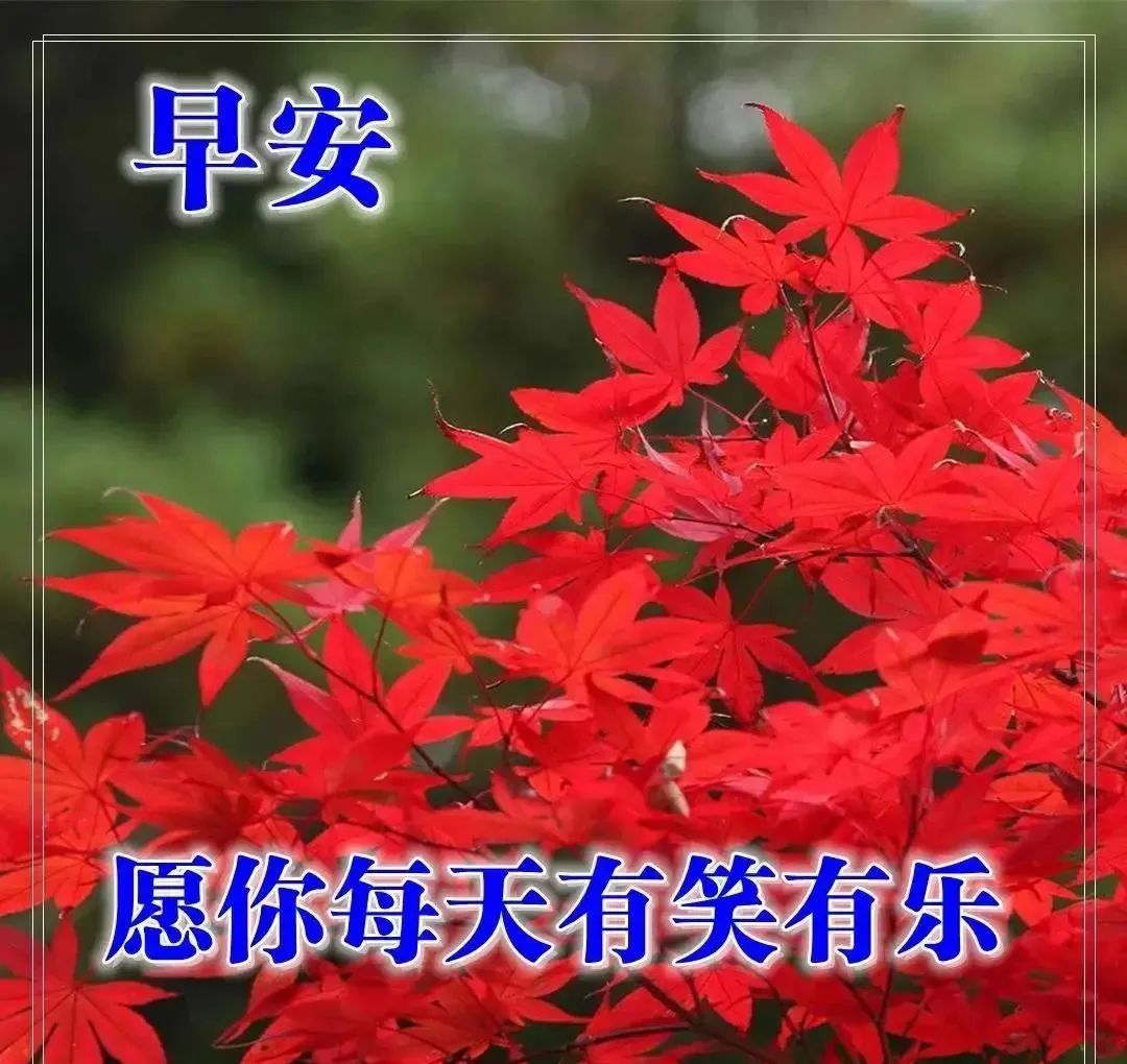 中考心灵鸡汤经典语录_中考励志的心灵鸡汤_关于中考的励志句子的心灵鸡汤