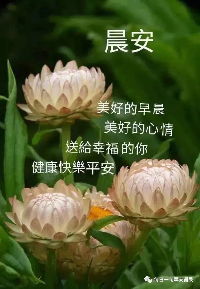 中考励志的心灵鸡汤_关于中考的励志句子的心灵鸡汤_中考心灵鸡汤经典语录