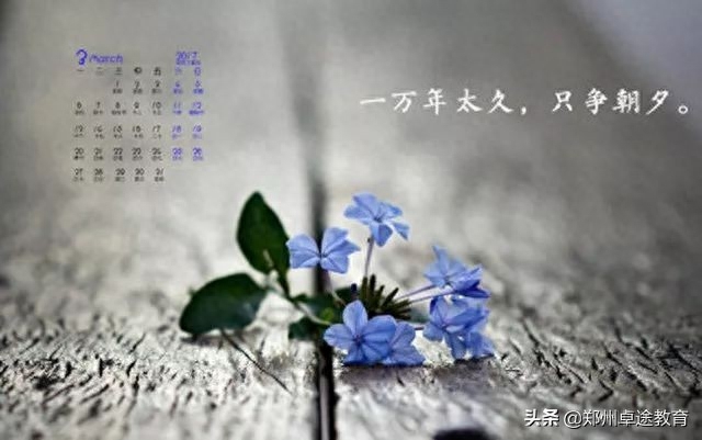 心灵鸡汤的出处_心灵鸡汤的解释_于丹的心灵鸡汤