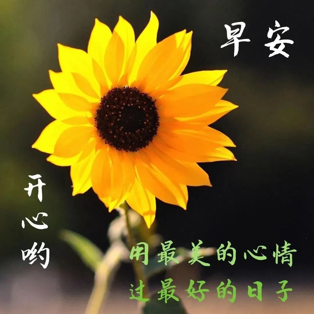 很贱搞笑的心灵毒鸡汤_心灵鸡汤照片_心灵毒鸡汤段子