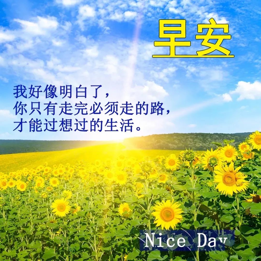 心灵鸡汤的图片带字_心灵鸡汤照片_鸡汤心灵配图