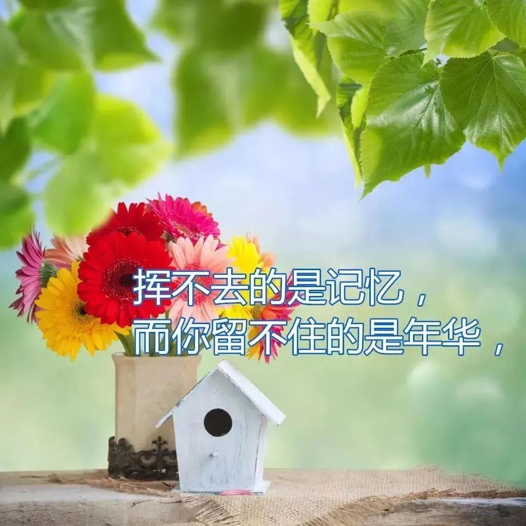 安静如鸡是怎么回事_心灵鸡汤-在安静中,不慌不忙地坚强 在线阅读_安静经典句子说说心情