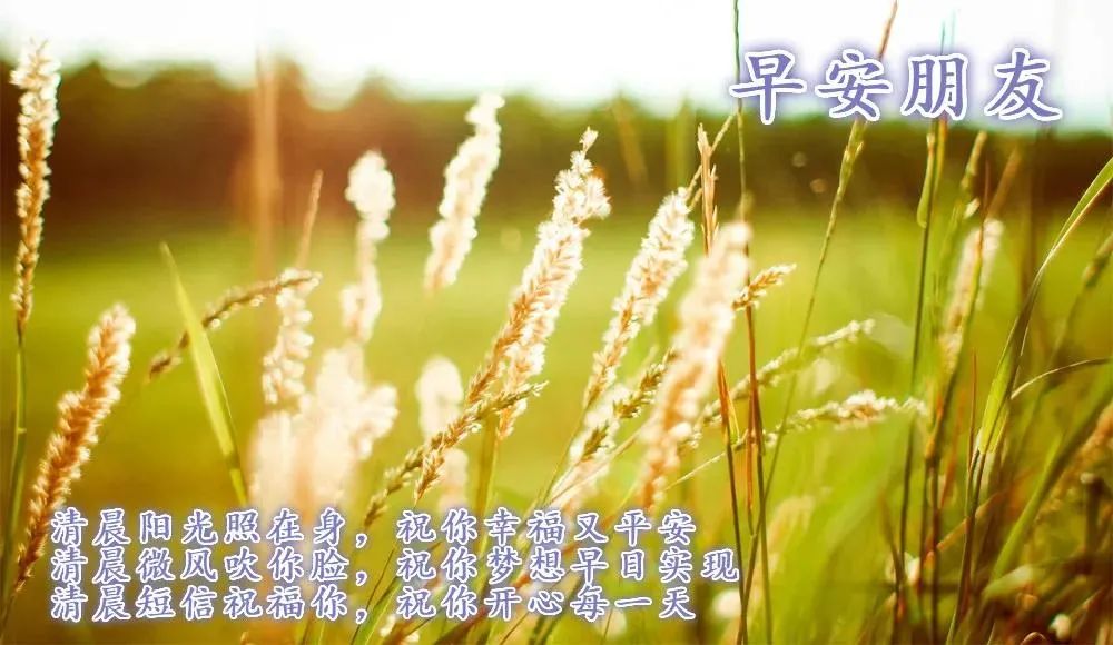 心灵鸡汤-在安静中,不慌不忙地坚强 在线阅读_安静经典句子说说心情_安静如鸡是怎么回事