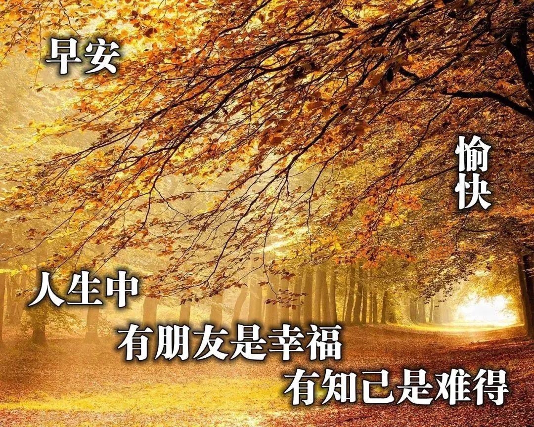 心灵鸡汤-在安静中,不慌不忙地坚强 在线阅读_安静经典句子说说心情_安静如鸡是怎么回事