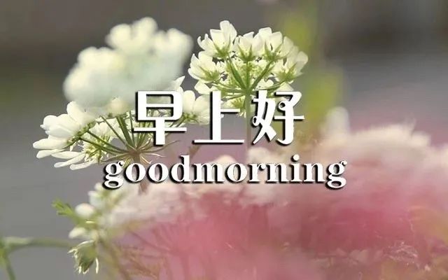心灵鸡汤-在安静中,不慌不忙地坚强 在线阅读_安静如鸡是怎么回事_安静经典句子说说心情