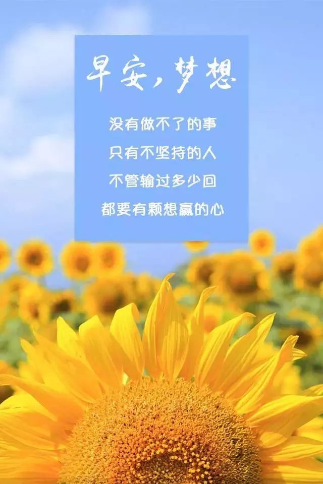 鸡汤的弊端_朋友圈心灵鸡汤的危害_鸡汤文危害