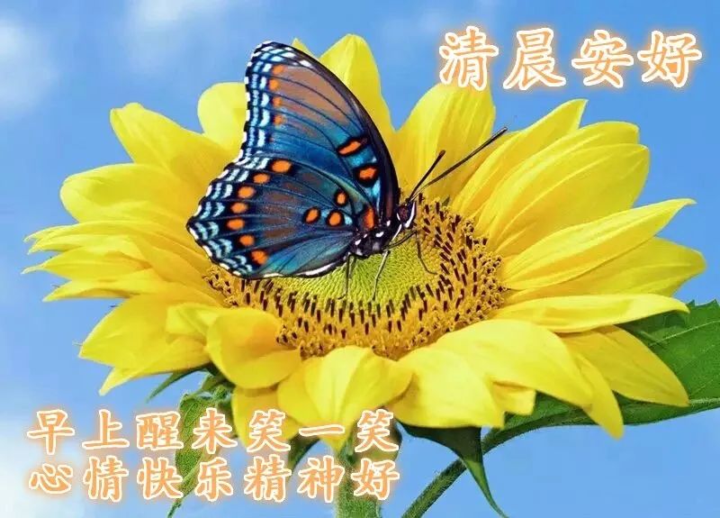 简短精辟鸡汤语_心灵鸡汤经典语录短句_鸡汤心灵长句