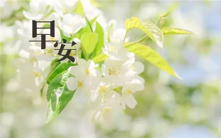 鸡汤心灵长句_简短精辟鸡汤语_心灵鸡汤经典语录短句