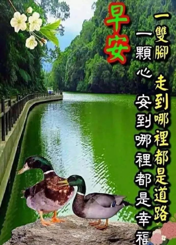 鸡汤心灵长句_心灵鸡汤经典语录短句_简短精辟鸡汤语