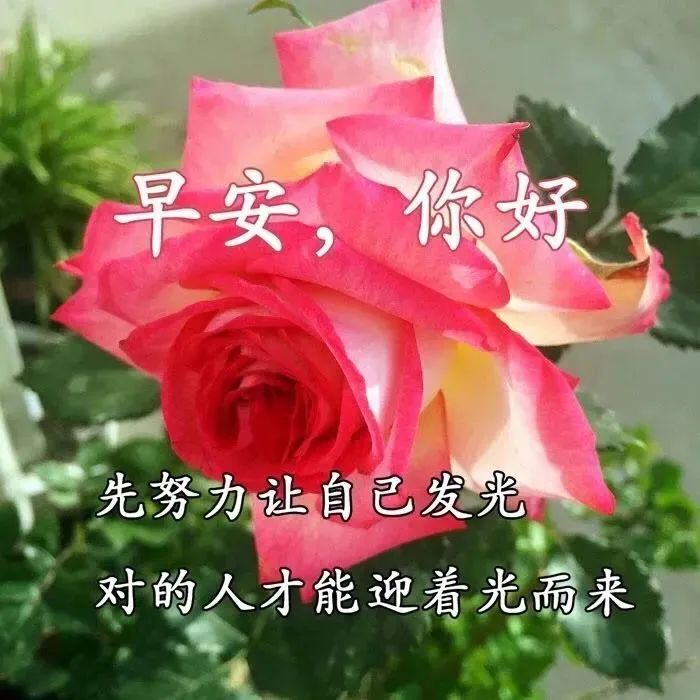 鸡汤心灵长句_心灵鸡汤经典语录短句_简短精辟鸡汤语