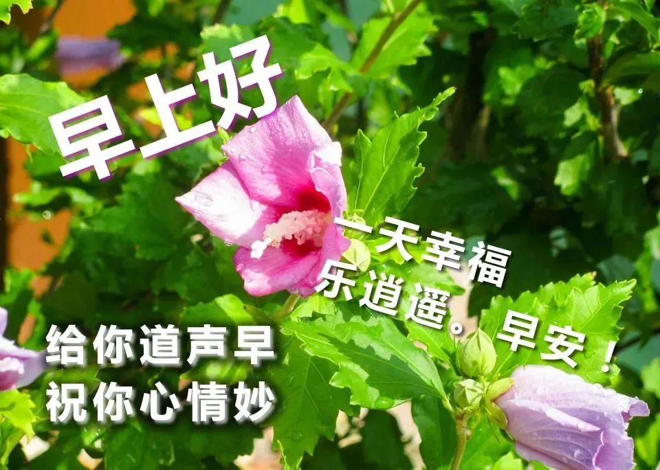 简短精辟鸡汤语_鸡汤心灵长句_心灵鸡汤经典语录短句