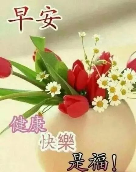 心灵鸡汤语录短句_微商心灵鸡汤经典语录_心灵鸡汤语言