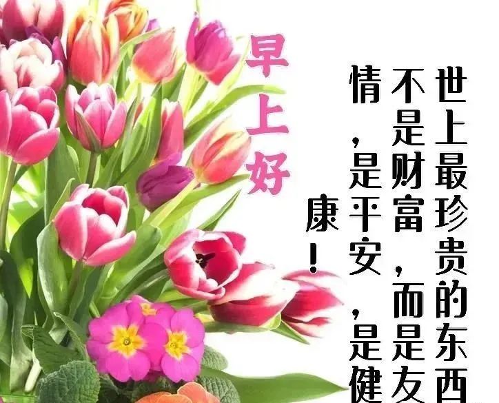 微商心灵鸡汤经典语录_心灵鸡汤语录短句_心灵鸡汤语言