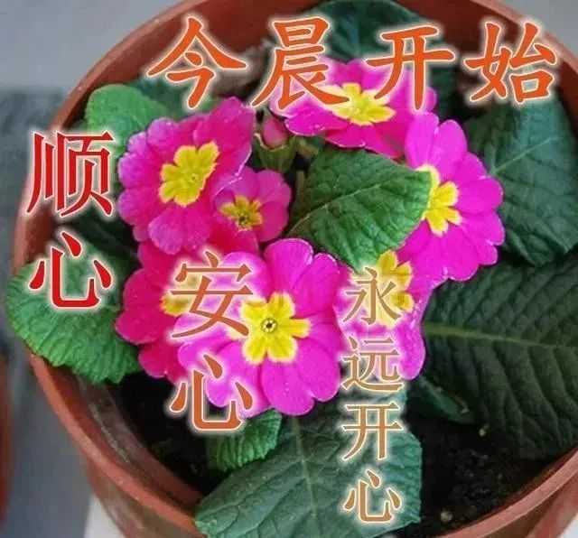 心灵鸡汤语录短句_心灵鸡汤语言_微商心灵鸡汤经典语录