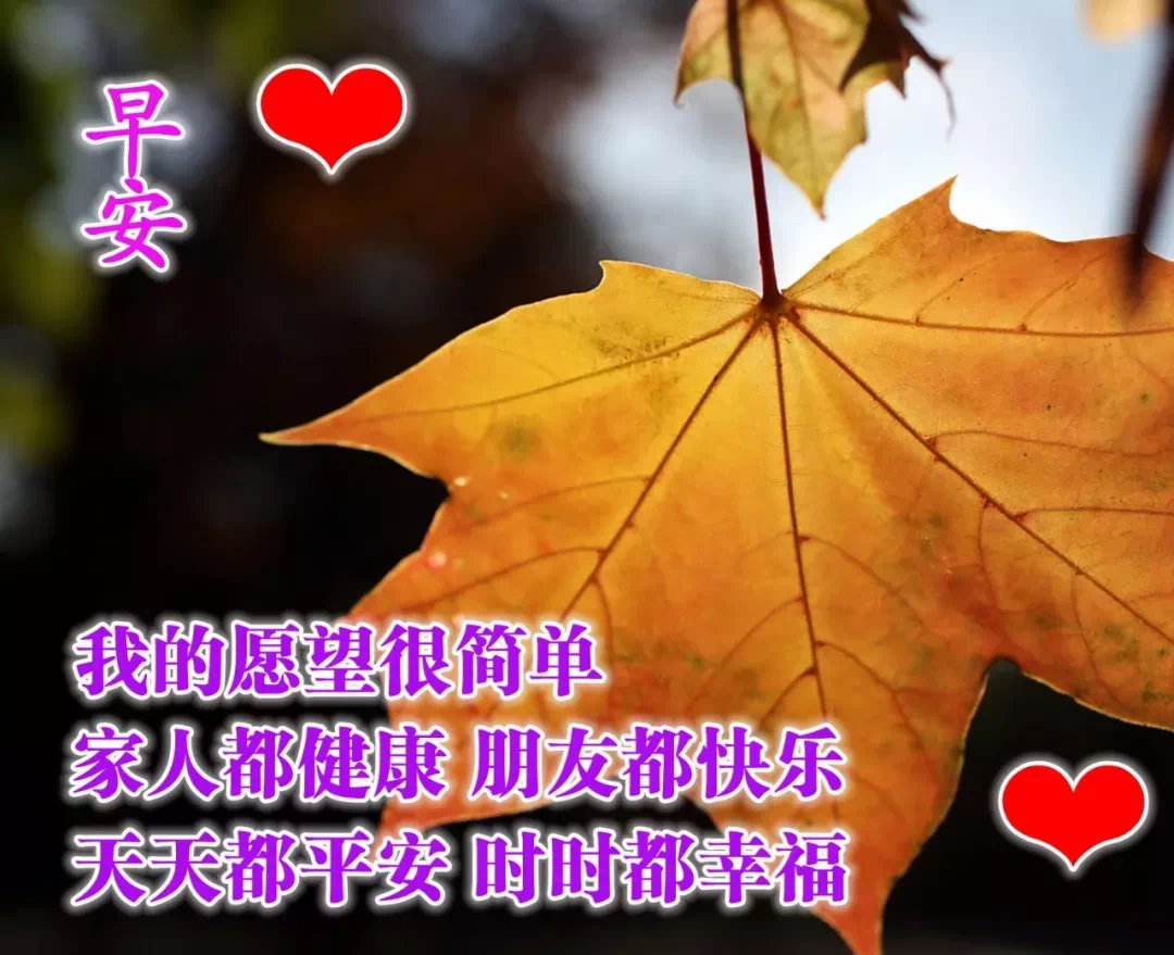 心灵鸡汤语录短句_微商心灵鸡汤经典语录_心灵鸡汤语言