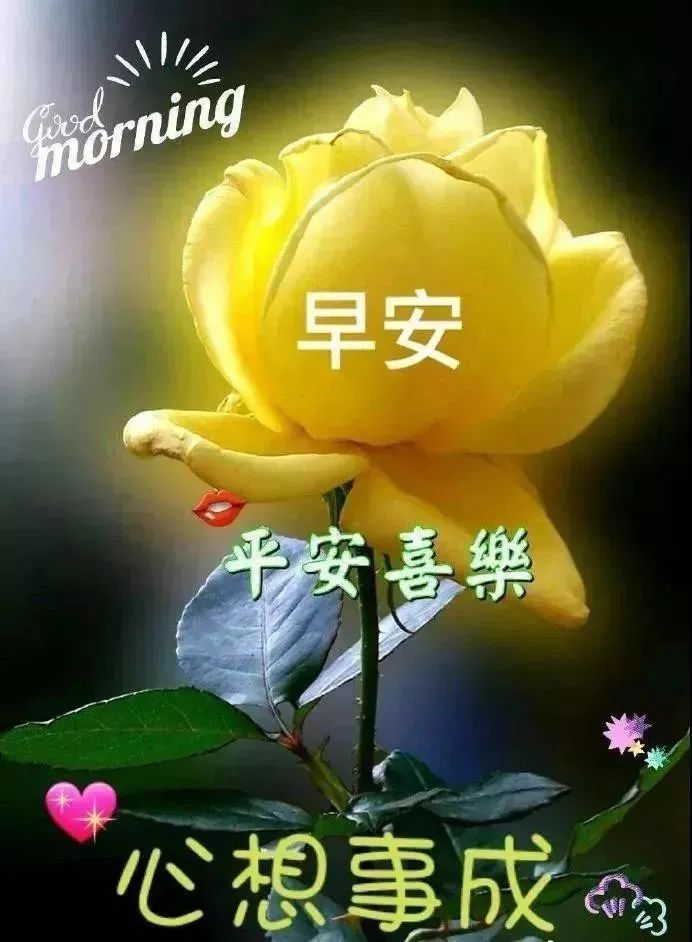 心灵鸡汤语录短句_心灵鸡汤语言_微商心灵鸡汤经典语录