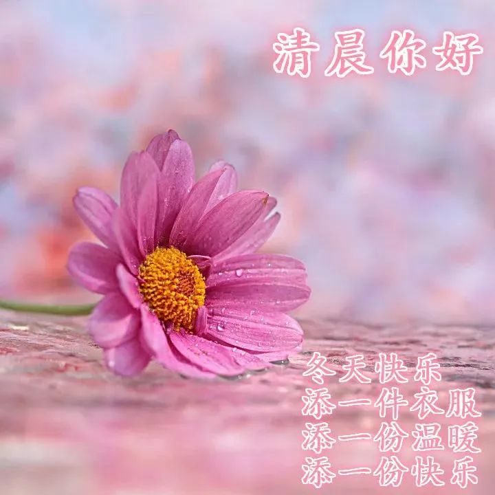 鸡汤害人_朋友圈心灵鸡汤的危害_鸡汤文案的危害