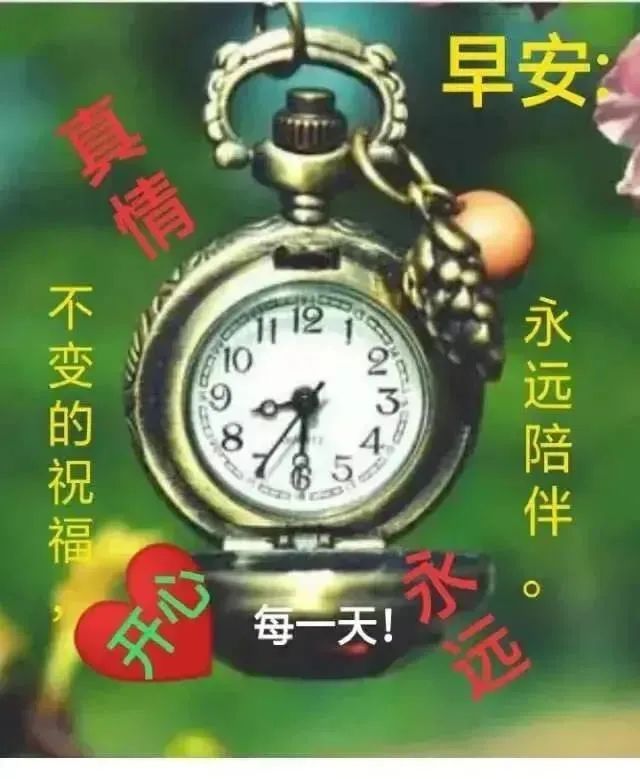 鸡汤文案的危害_鸡汤害人_朋友圈心灵鸡汤的危害