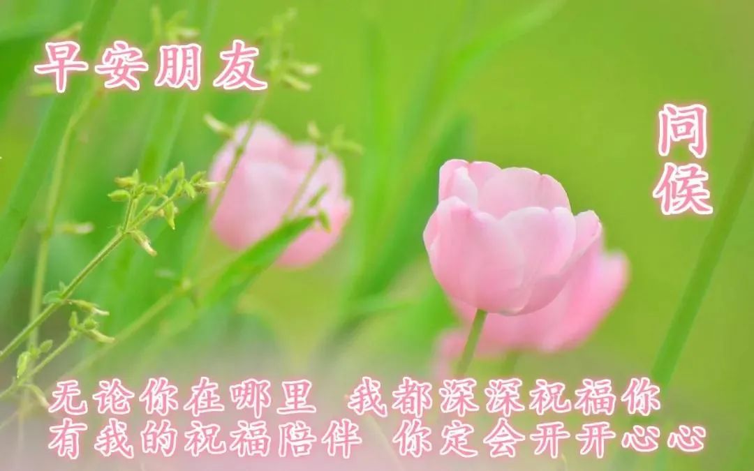 鸡汤文案的危害_朋友圈心灵鸡汤的危害_鸡汤害人