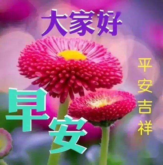 朋友圈心灵鸡汤的危害_鸡汤文案的危害_鸡汤害人
