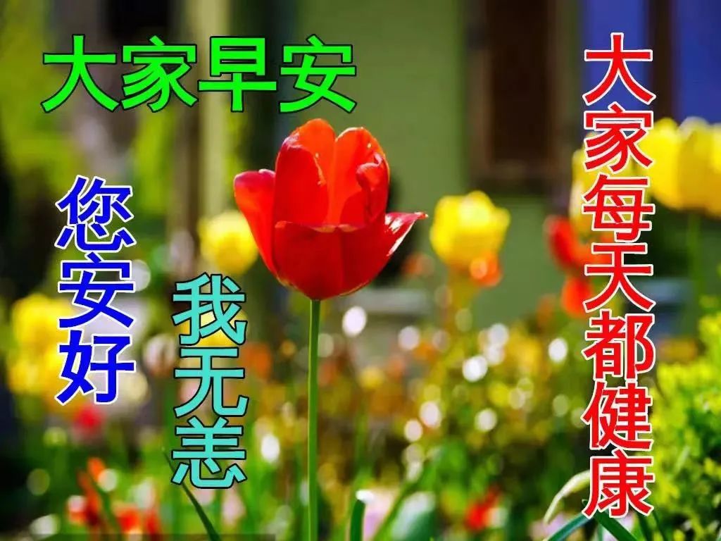 鸡汤害人_鸡汤文案的危害_朋友圈心灵鸡汤的危害