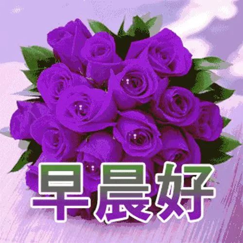 鸡汤文危害_鸡汤的弊端_朋友圈心灵鸡汤的危害