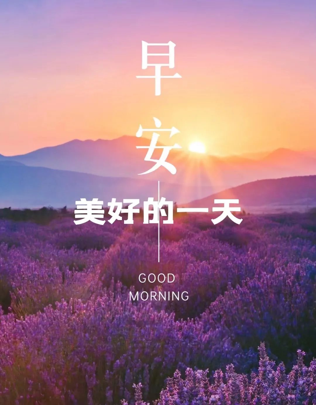 鸡汤文危害_鸡汤的弊端_朋友圈心灵鸡汤的危害