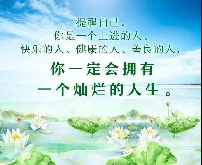 朋友圈心灵鸡汤的危害_鸡汤文危害_鸡汤的弊端