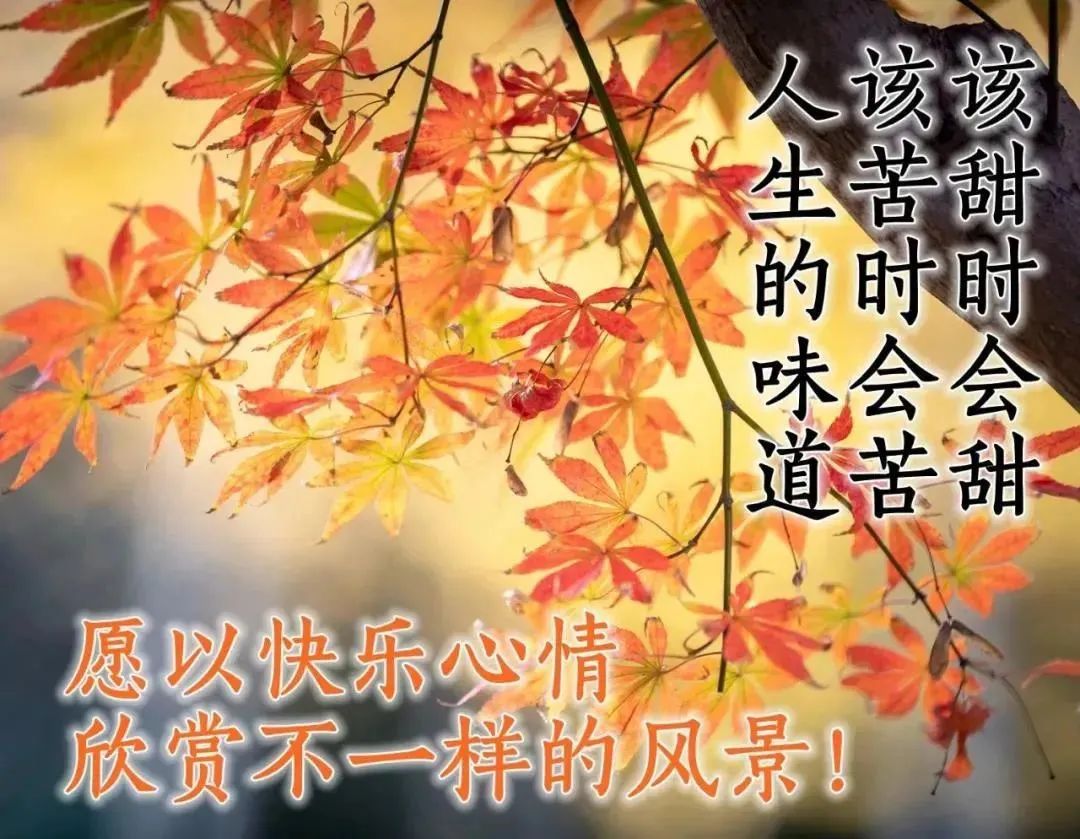 鸡汤的弊端_鸡汤文危害_朋友圈心灵鸡汤的危害