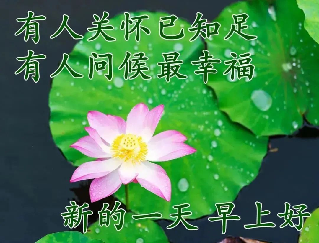 鸡汤文危害_朋友圈心灵鸡汤的危害_鸡汤的弊端