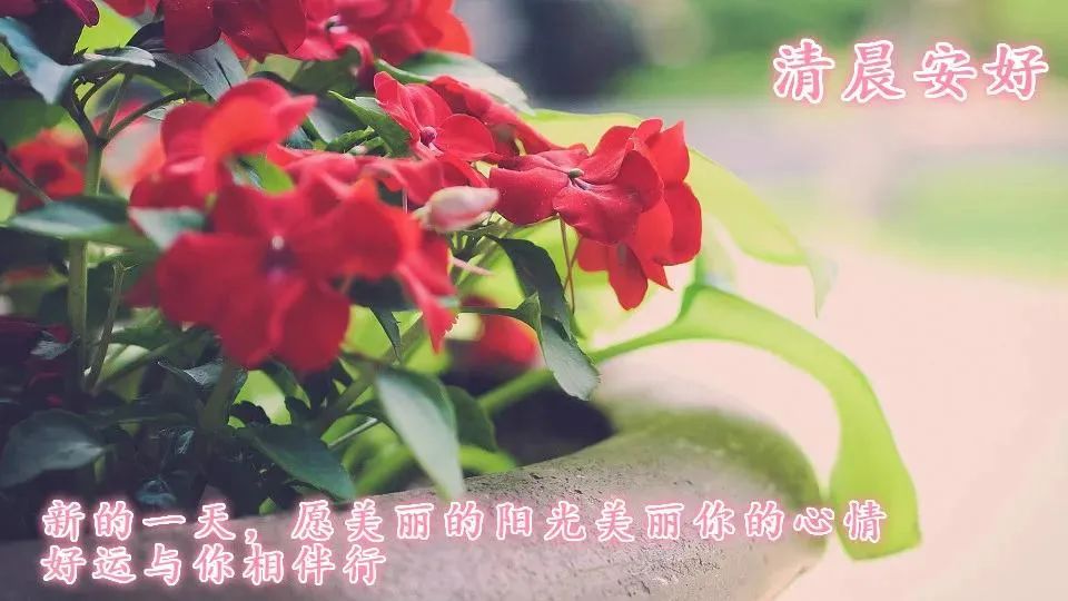 鸡汤的弊端_朋友圈心灵鸡汤的危害_鸡汤文危害