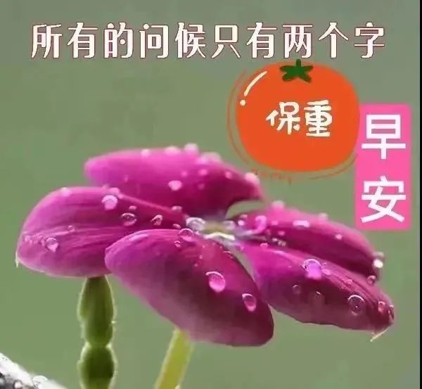 鸡汤文危害_鸡汤的弊端_朋友圈心灵鸡汤的危害