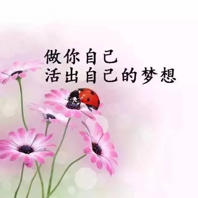 鸡汤文危害_鸡汤的弊端_朋友圈心灵鸡汤的危害
