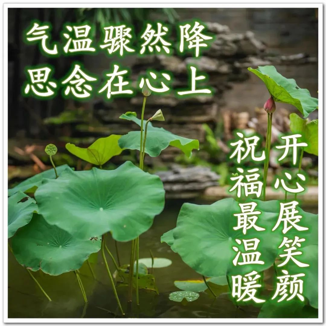 心灵鸡汤语录短句_心灵鸡汤语录_海量简短心灵鸡汤语录