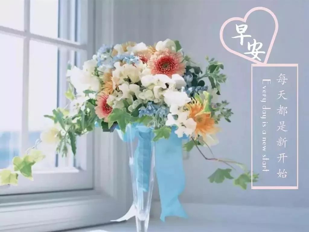 鸡汤语录经典语录_儿童心灵鸡汤经典语录_经典鸡汤语录短