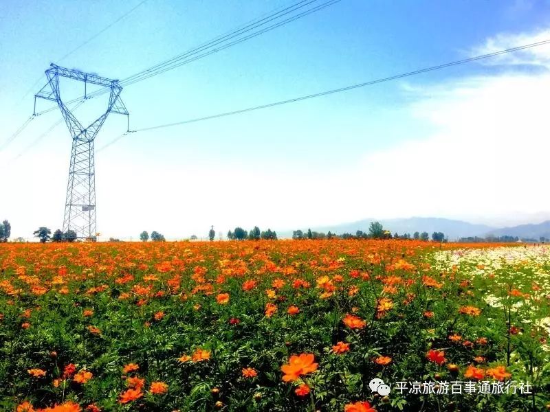三国通用修改器_4399醉游三国修改_醉游三国修改器
