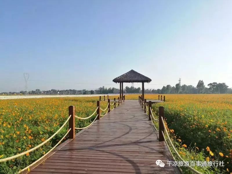 4399醉游三国修改_三国通用修改器_醉游三国修改器