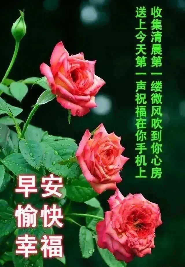 励志鸡汤心灵文章素材_励志心灵鸡汤文章_励志鸡汤心灵文章摘抄