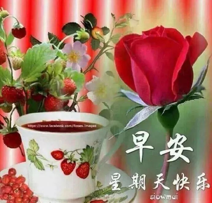 励志鸡汤心灵文章摘抄_励志心灵鸡汤文章_励志鸡汤心灵文章素材