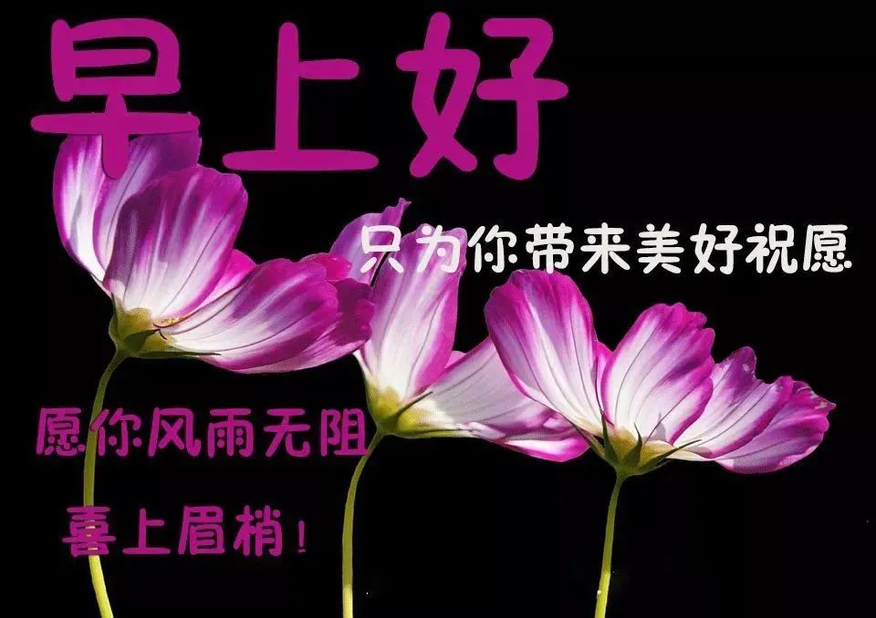 心灵鸡汤-在安静中,不慌不忙地坚强 在线阅读_安静的心灵鸡汤_安静经典句子说说心情