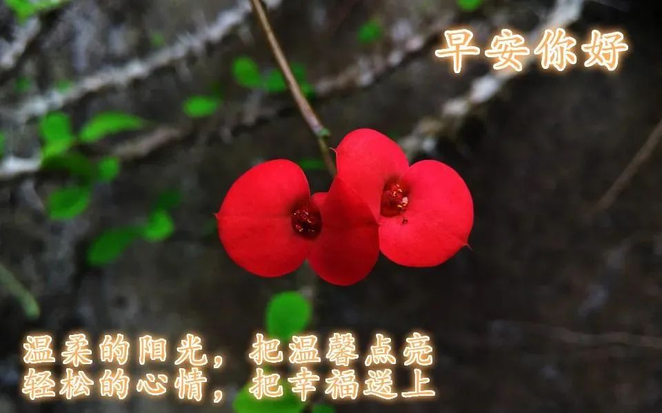 安静经典句子说说心情_心灵鸡汤-在安静中,不慌不忙地坚强 在线阅读_安静的心灵鸡汤