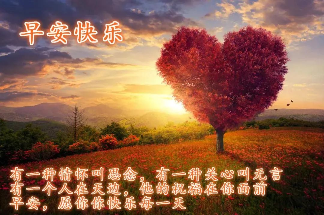 心灵鸡汤-在安静中,不慌不忙地坚强 在线阅读_安静经典句子说说心情_安静的心灵鸡汤
